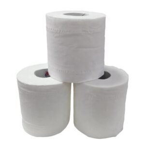 Toilet Tissue 2 Ply Sheet